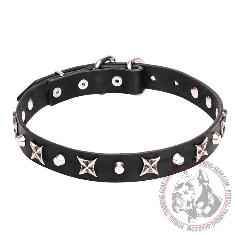 Luxury Star Rubberized Collar