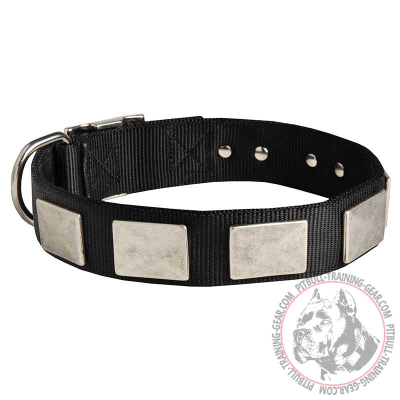 Buy Nylon Pitbull Collar with Vintage Plates Dog Walking Training