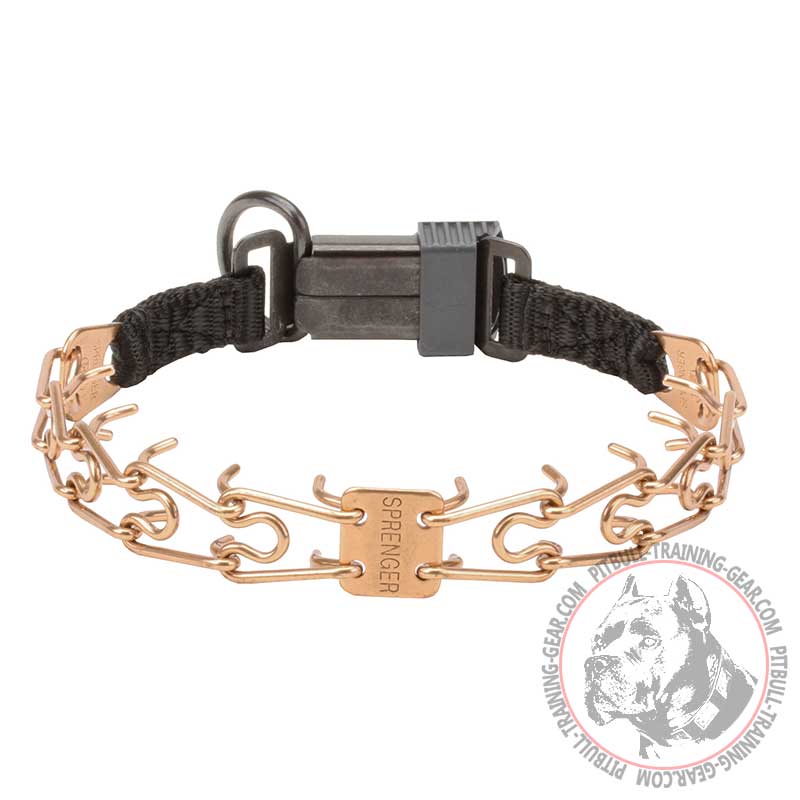 Best prong clearance collar for pitbulls