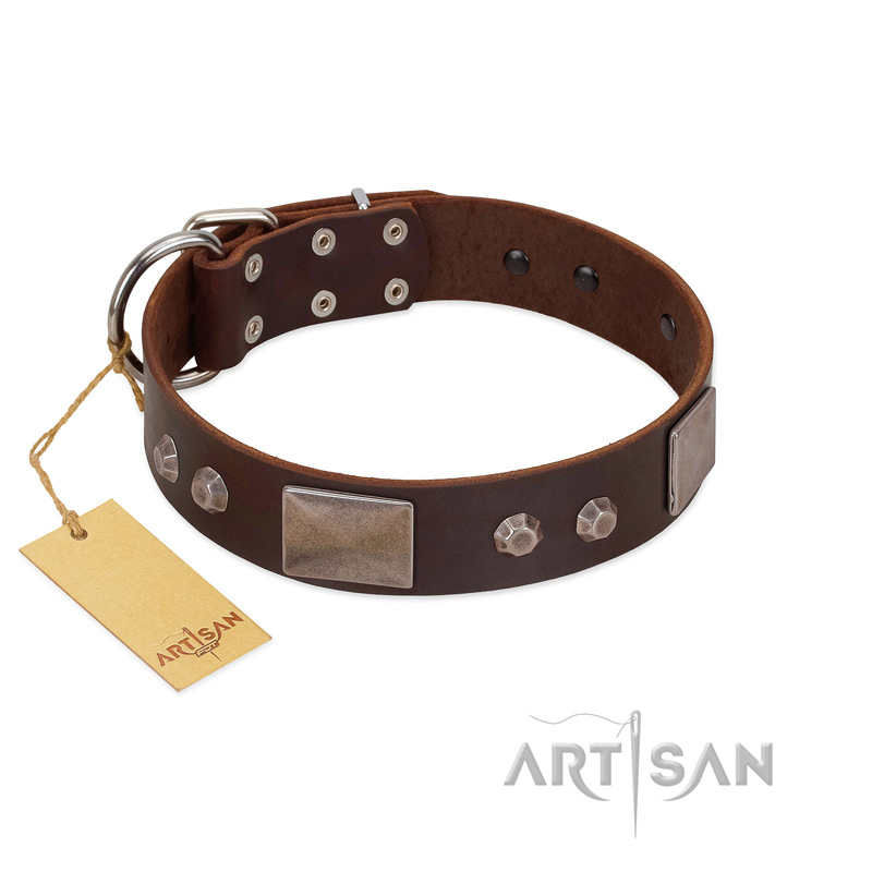 Mahogany Brown Dog Collar with Black Leather + Tan/Light Brown Stitching