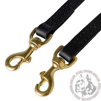 Reliable Brass Snap Hooks on Leather Dog Coupler Leash