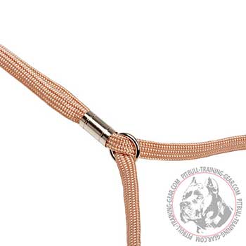 Nickel Plated Stopper on Pitbull Dog Show Leash