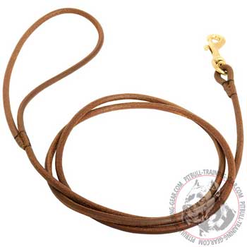 Round Leather Dog Lead for Pit Bull with Heavy-Duty Brass Snap Hook