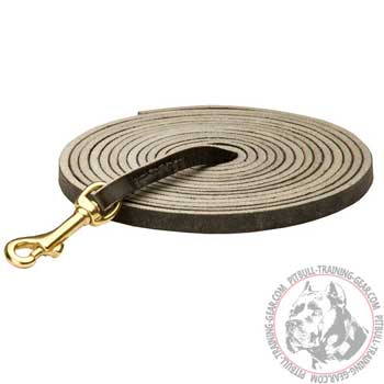 Professional Leather Dog Leash for Pit Bull with Reliable Brass Hook