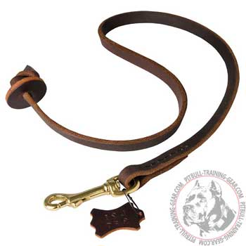 Professional Short Leather Dog Leash for Pit Bull Terrier Training