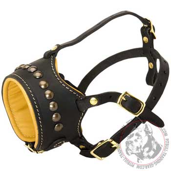 American Pitbull muzzle best studded with easy adjustment system