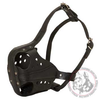 Leather Muzzle for Pit Bull with Side Metal Bars