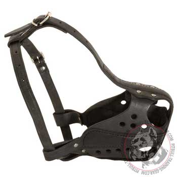 Pit Bull Muzzle Leather for Working Dogs