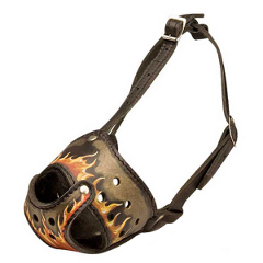 Painted Leather Pit Bull Terrier Muzzle with Adjustable Straps