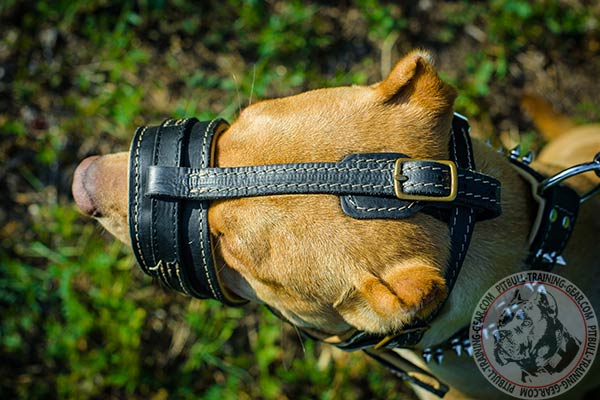 Pitbull leather muzzle easy-to-adjust with brass plated fittings for improved control