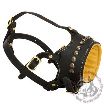 Pitbull muzzle with Nappa padded interior extremely comfortable 