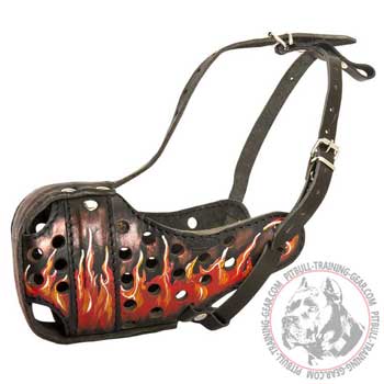 Pitbull leather muzzle for attack training